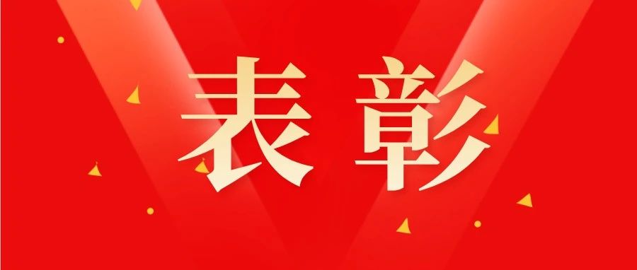 榜样的力量！南庄村为“两优一先”表彰对象颁奖！